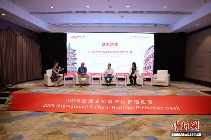 AI赋能文化遗产保护 中外专家共议数字技术新路径