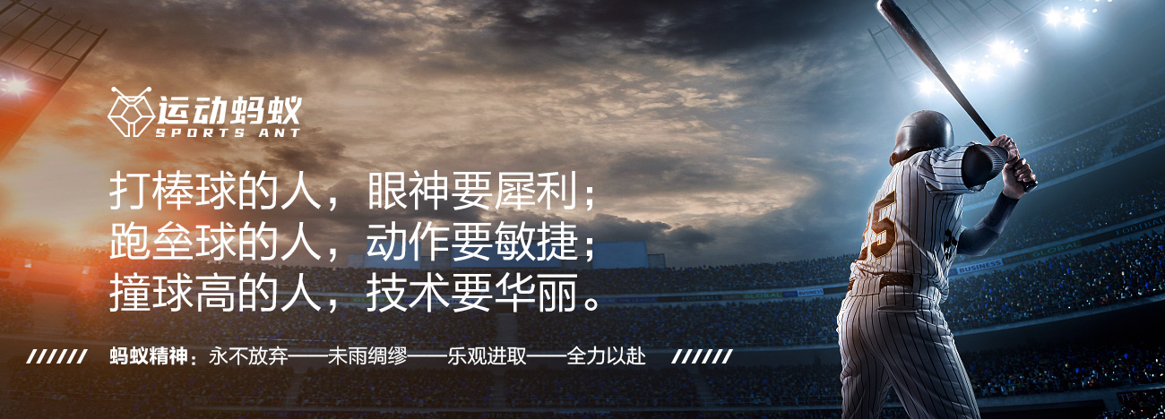  模拟棒球 视频