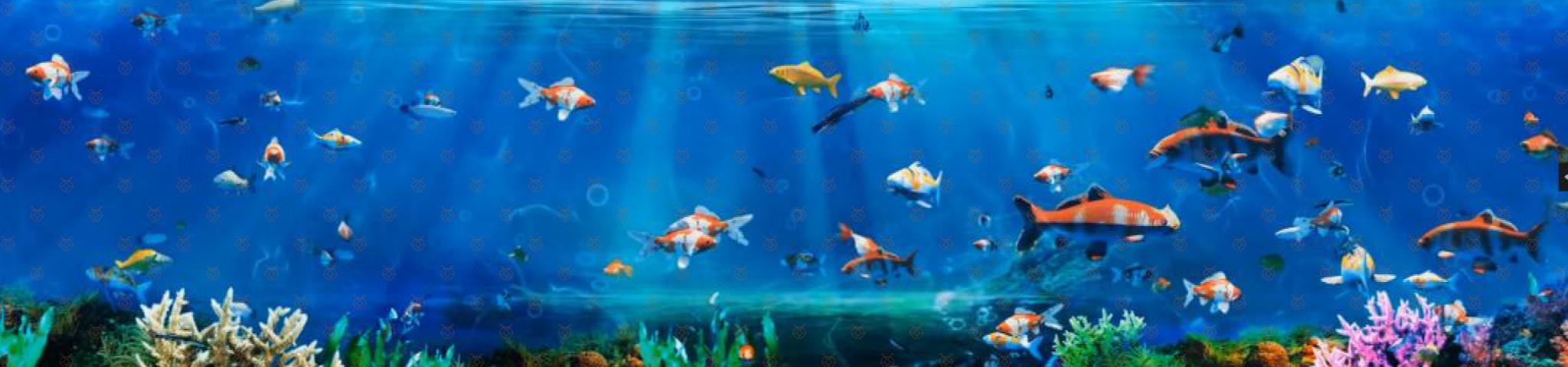 沉浸式场景 轻触、抚摸、用心感受、学于自然，归于自然。